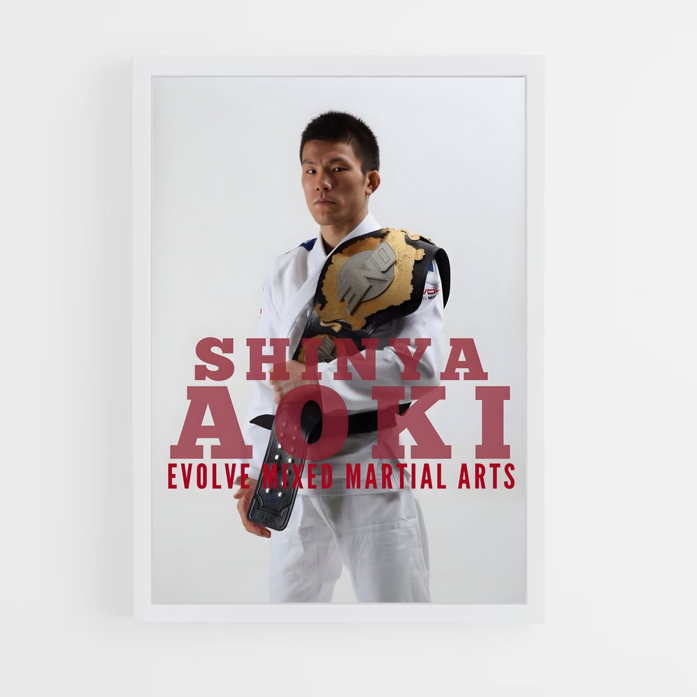 Poster Aoki Evolution – affiche MMA (vue 3)